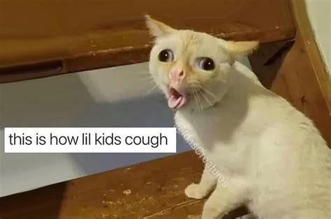 cat cough meme